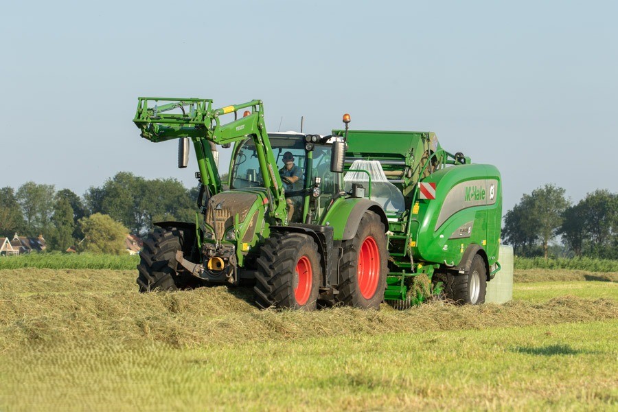 MAAIEN & RONDE BALEN PERSEN